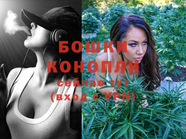 прущие грибы Коряжма