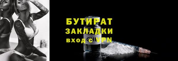 прущие грибы Коряжма