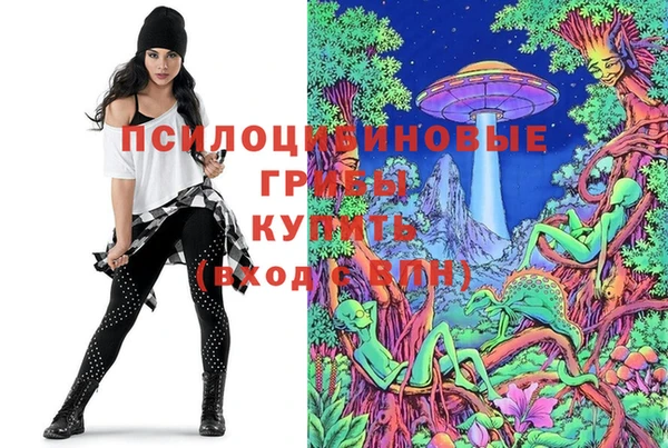 mix Кодинск