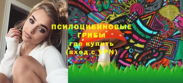 эйфоретик Бежецк