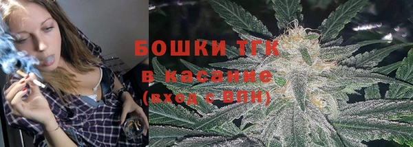 прущие грибы Коряжма
