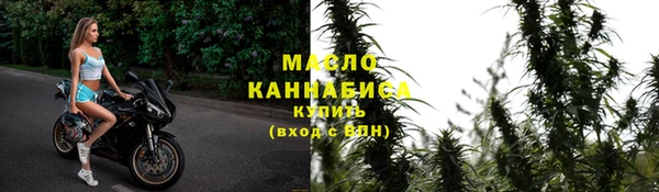 прущие грибы Коряжма